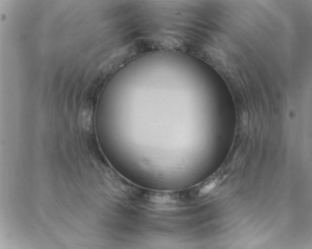 X0000088660177200706081712