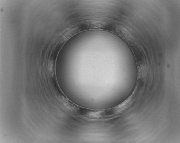 X0000088660178200706081712