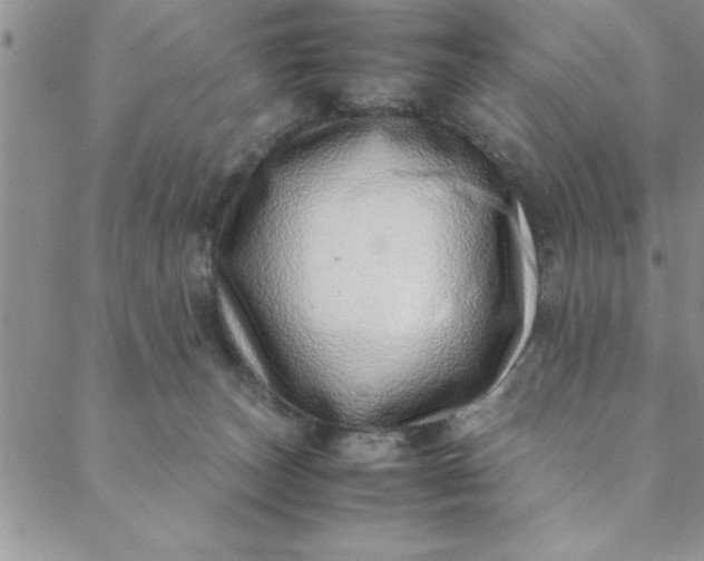 X0000088660179200706081712