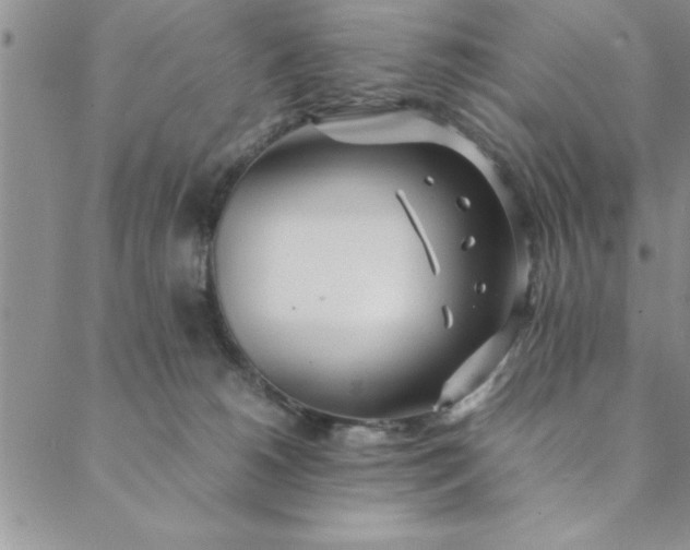 X0000088660180200706081712