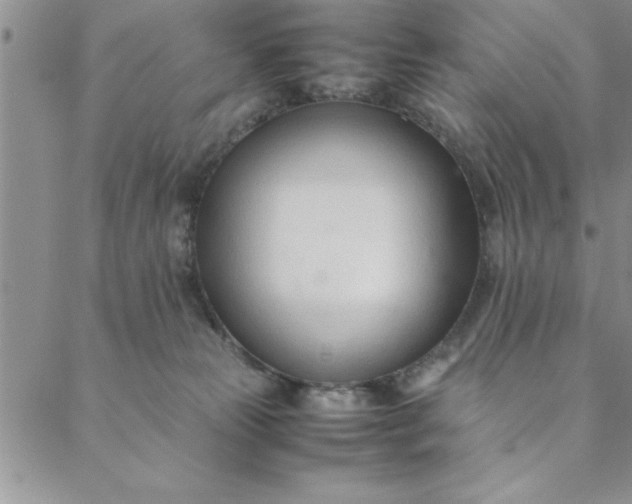 X0000088660181200706081712