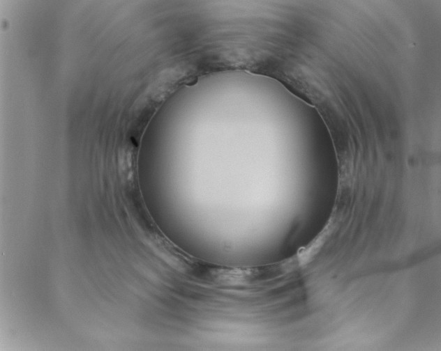 X0000088660182200706081712