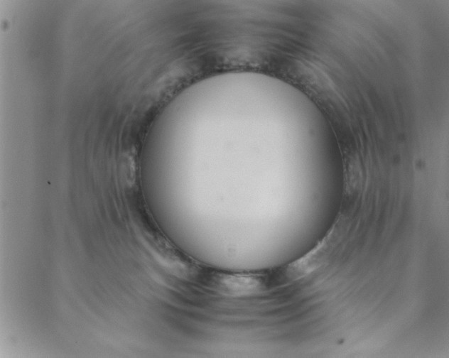 X0000088660183200706081712