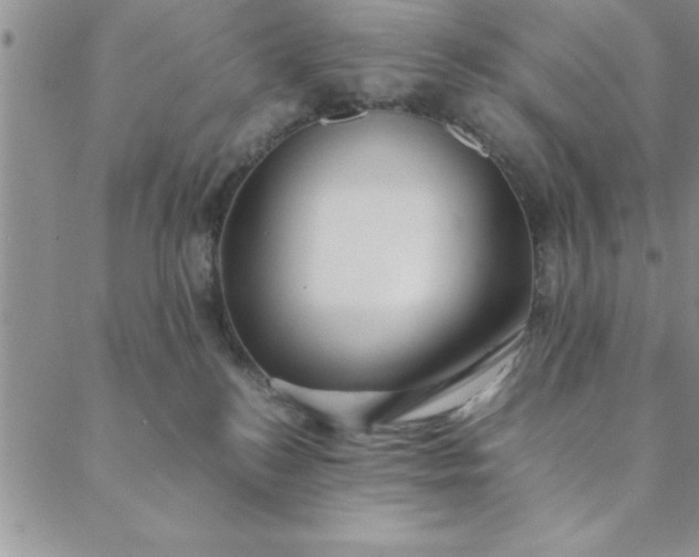 X0000088660184200706081712