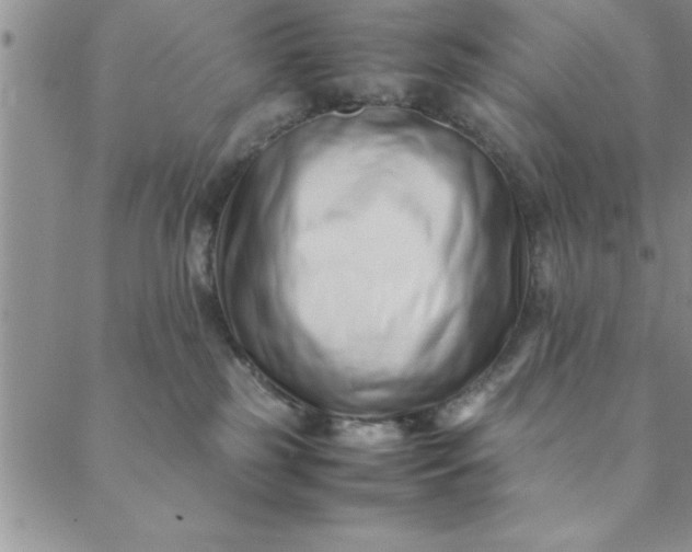 X0000088660185200706081712