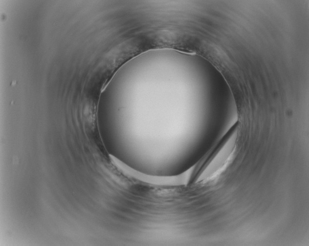 X0000088660186200706081712