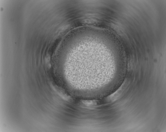 X0000088660187200706081712