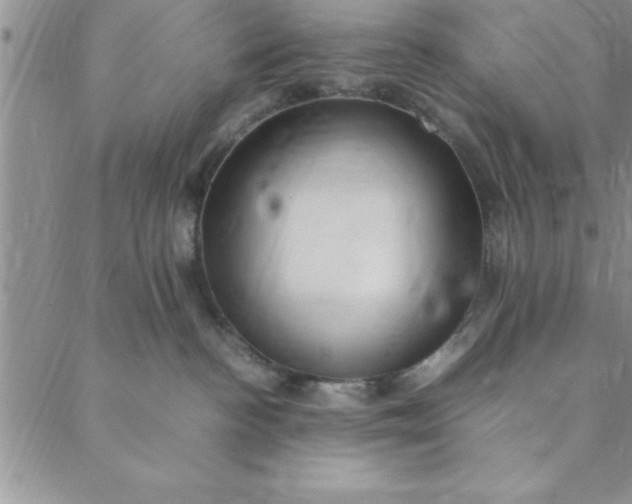 X0000088660188200706081712