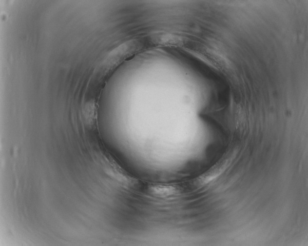 X0000088660189200706081712