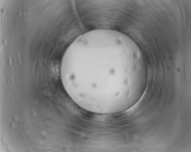 X0000088660190200706081712