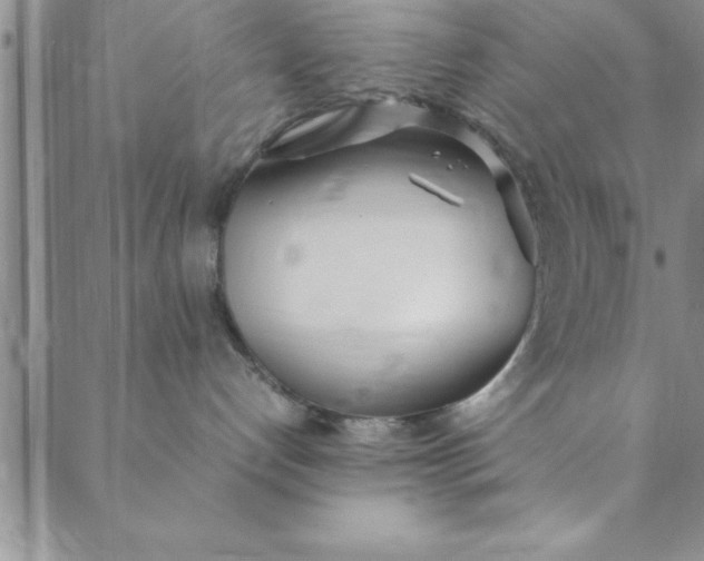 X0000088660192200706081712