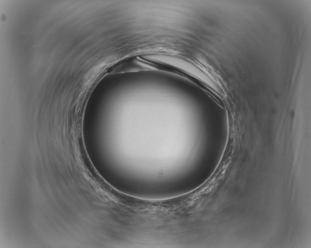 X0000088660193200706081711