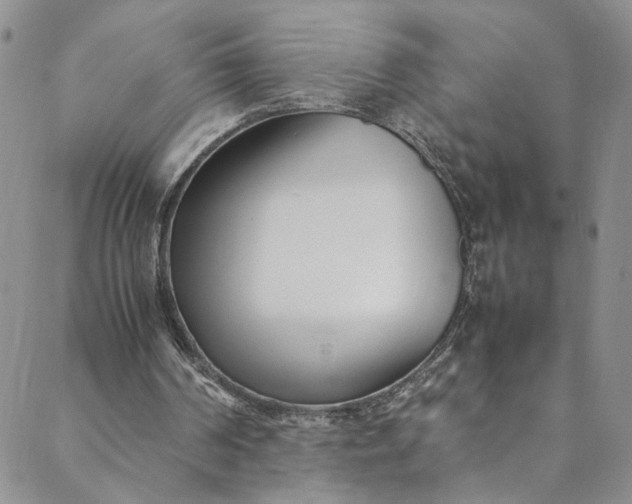 X0000088660194200706081711