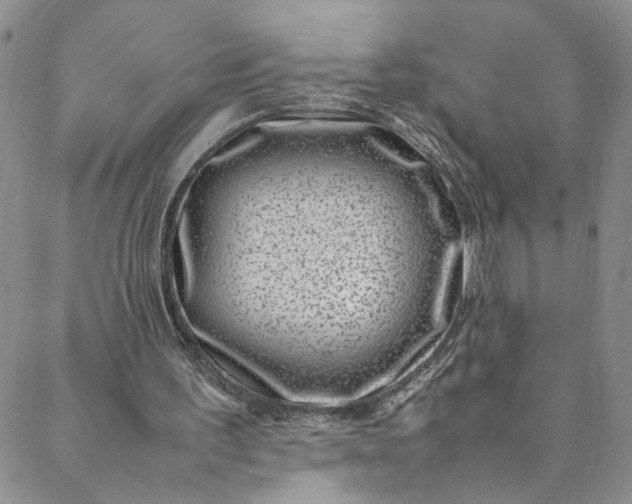 X0000088660195200706081711