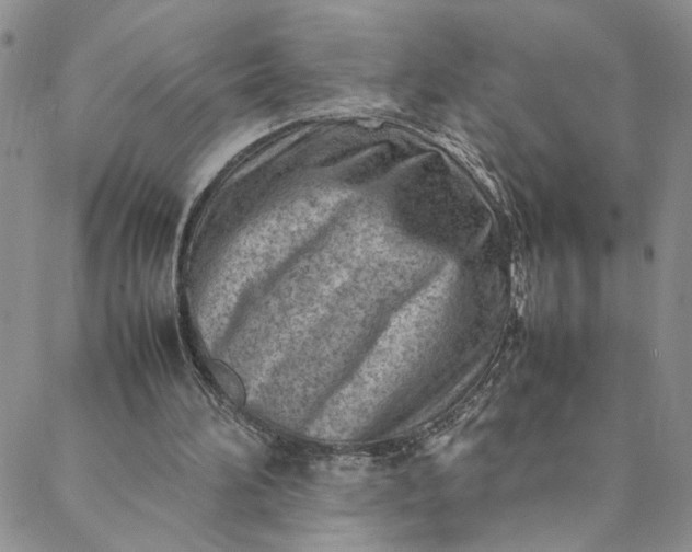 X0000088660196200706081711