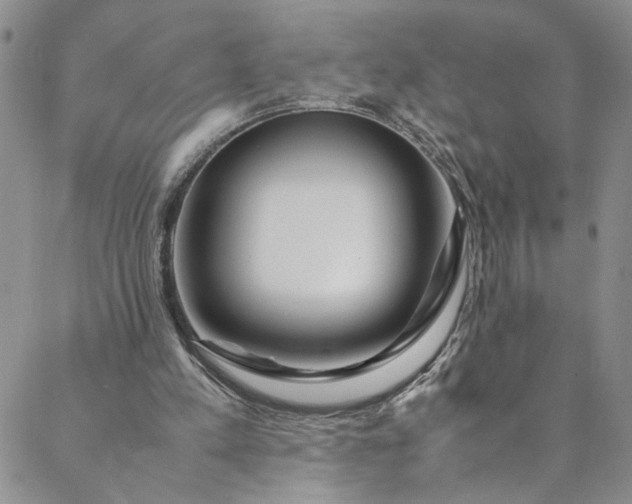 X0000088660197200706081711