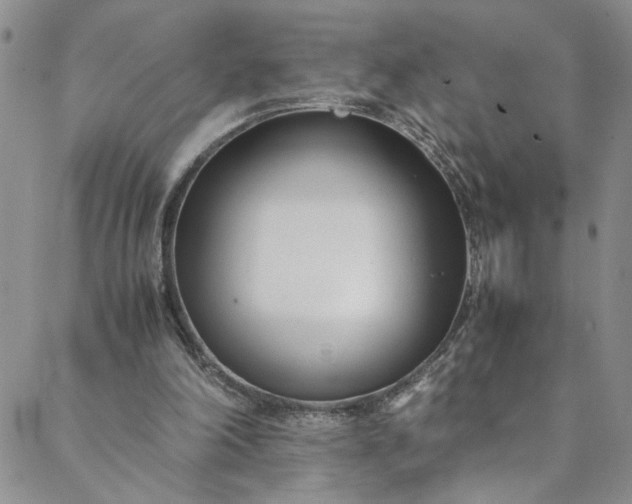 X0000088660198200706081711