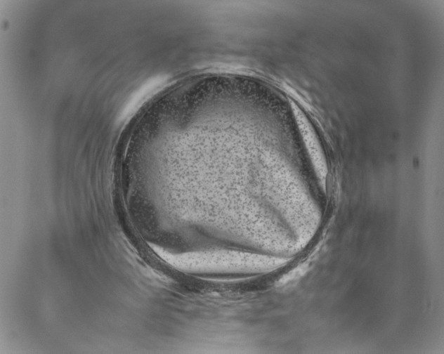 X0000088660199200706081711