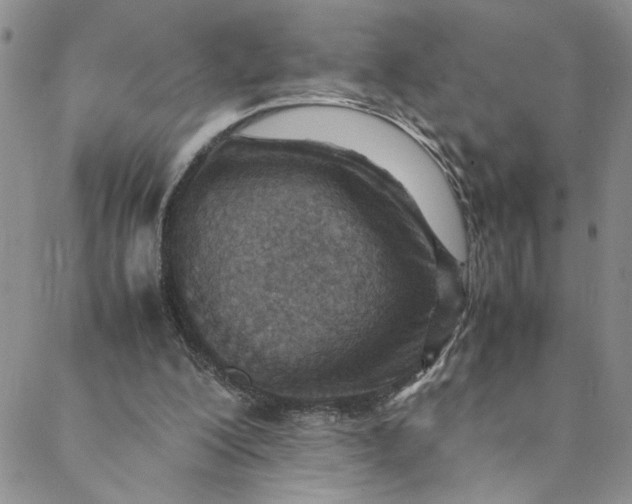 X0000088660200200706081711