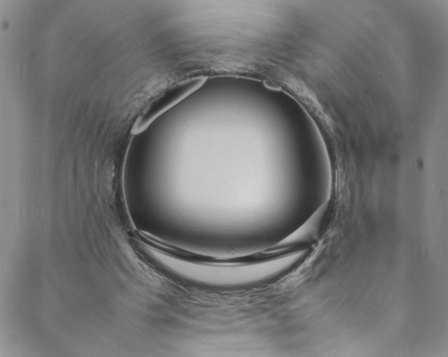 X0000088660201200706081711