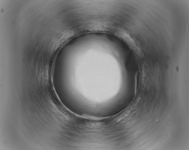 X0000088660202200706081711