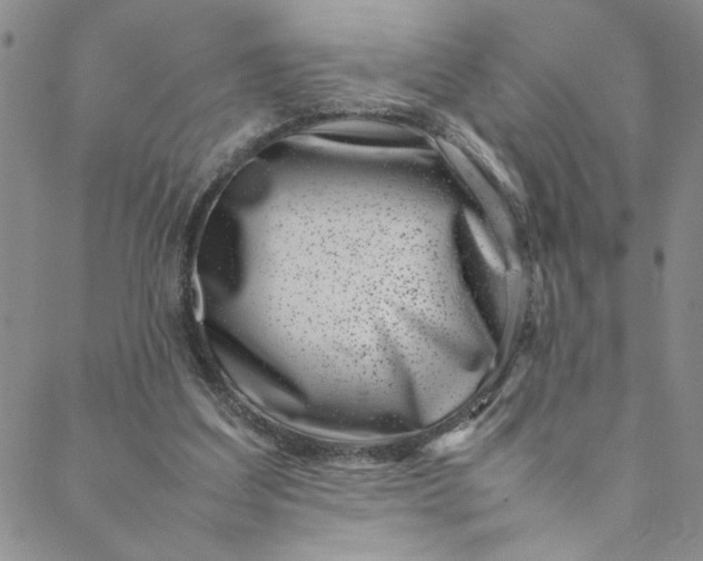 X0000088660203200706081711