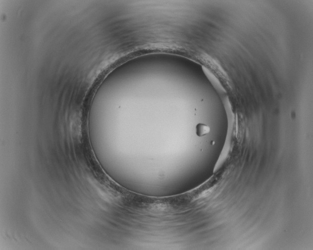 X0000088660204200706081711