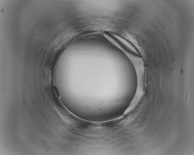 X0000088660205200706081711