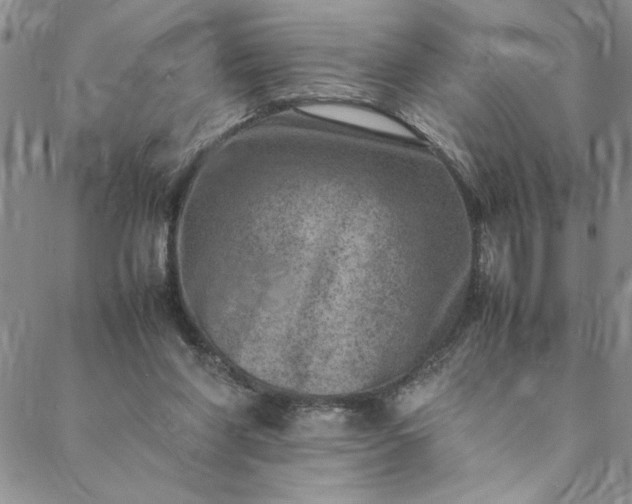 X0000088660206200706081711