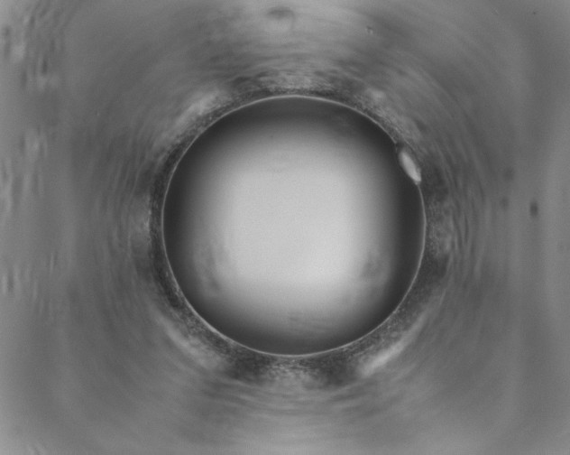 X0000088660207200706081711