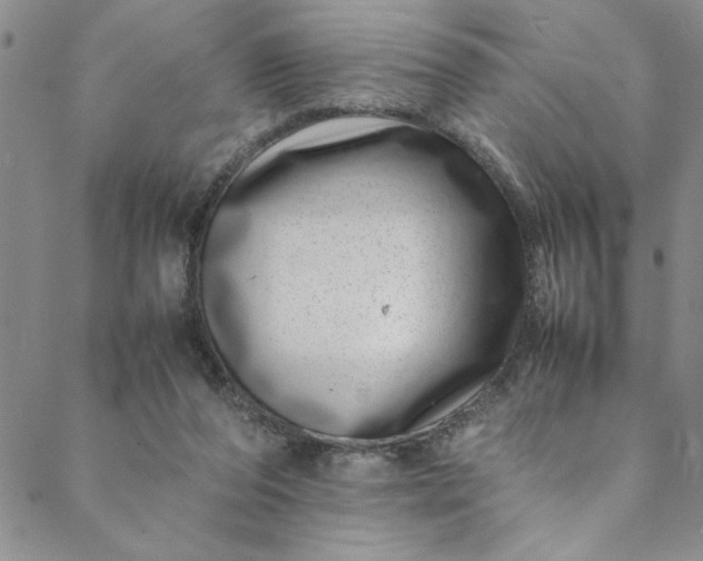 X0000088660208200706081711