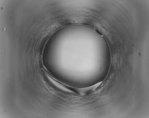 X0000088660209200706081711