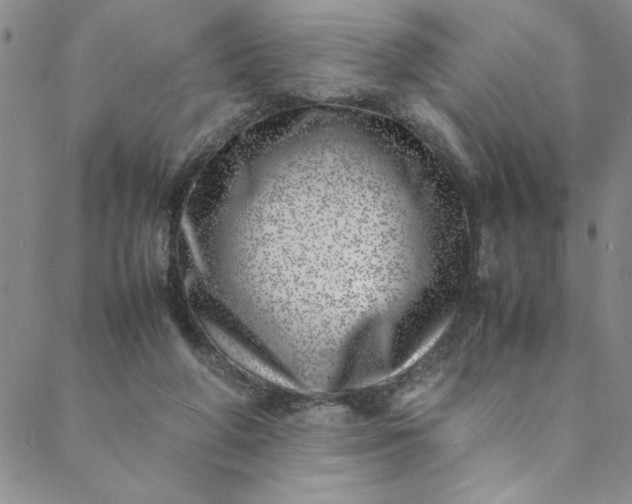 X0000088660210200706081711