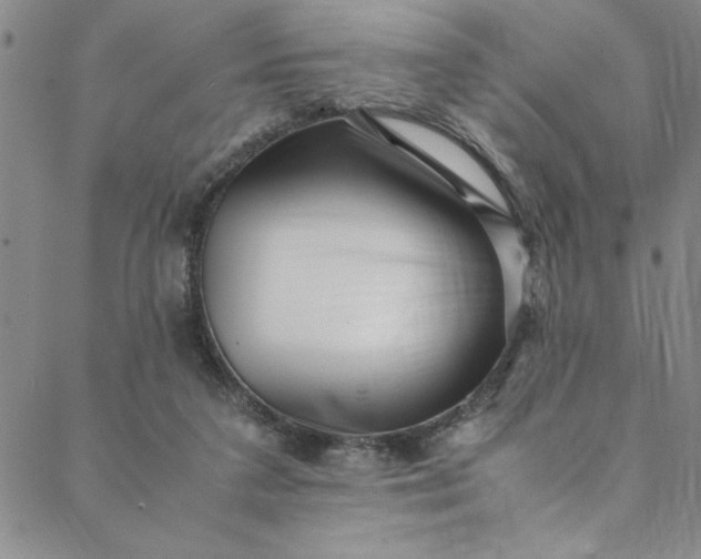 X0000088660211200706081711