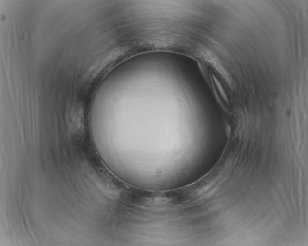 X0000088660212200706081711