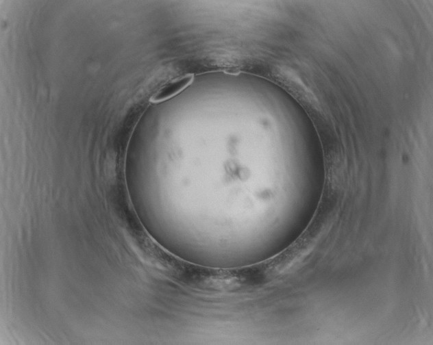 X0000088660213200706081711