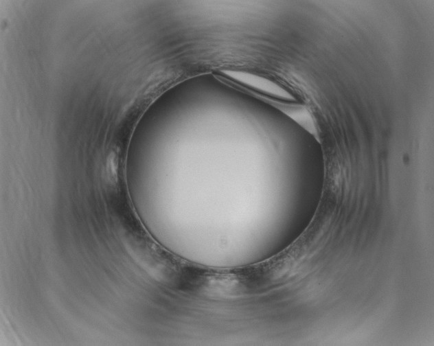 X0000088660214200706081711