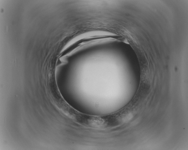 X0000088660215200706081711