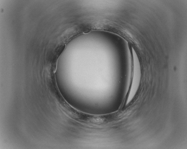 X0000088660217200706081711