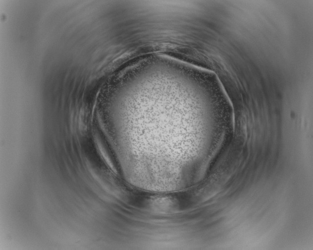 X0000088660218200706081711