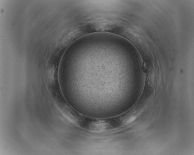 X0000088660219200706081711