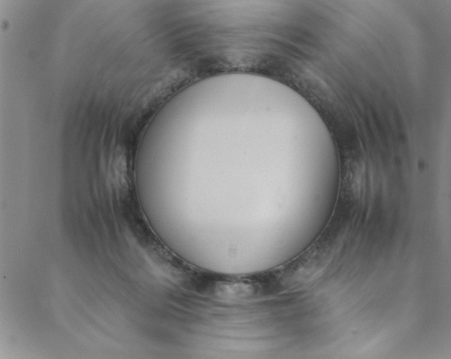 X0000088660220200706081711