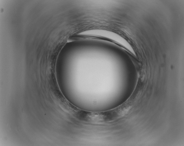 X0000088660221200706081711