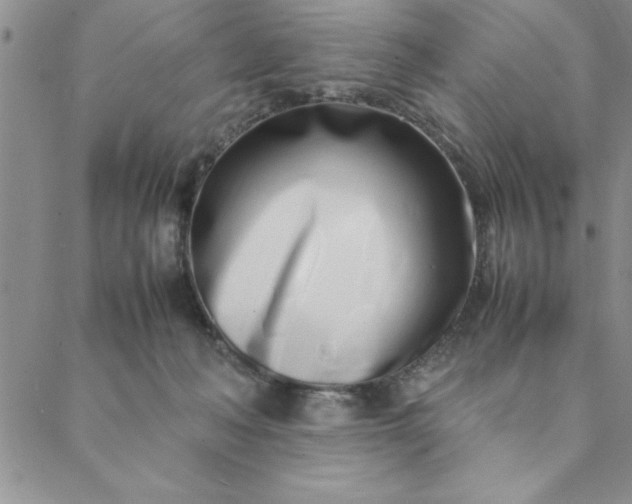 X0000088660222200706081711