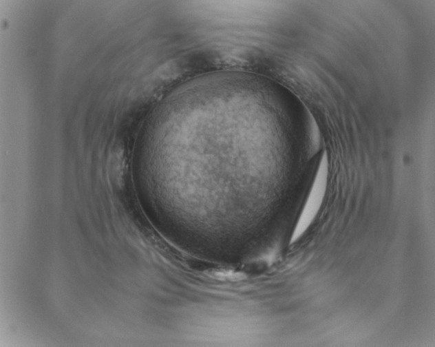 X0000088660223200706081711