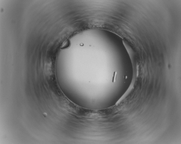 X0000088660224200706081711