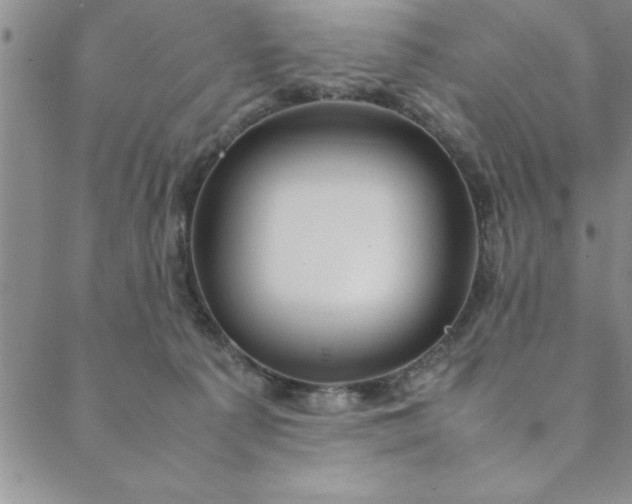 X0000088660225200706081711