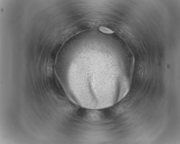 X0000088660226200706081711