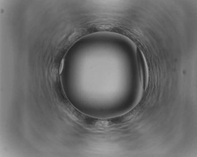 X0000088660227200706081710