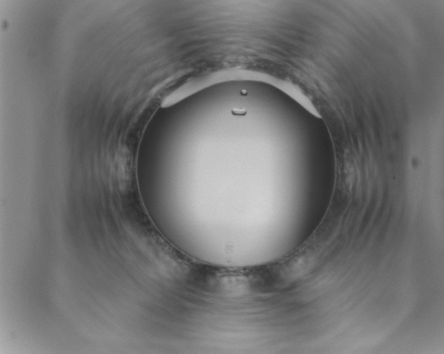 X0000088660228200706081710